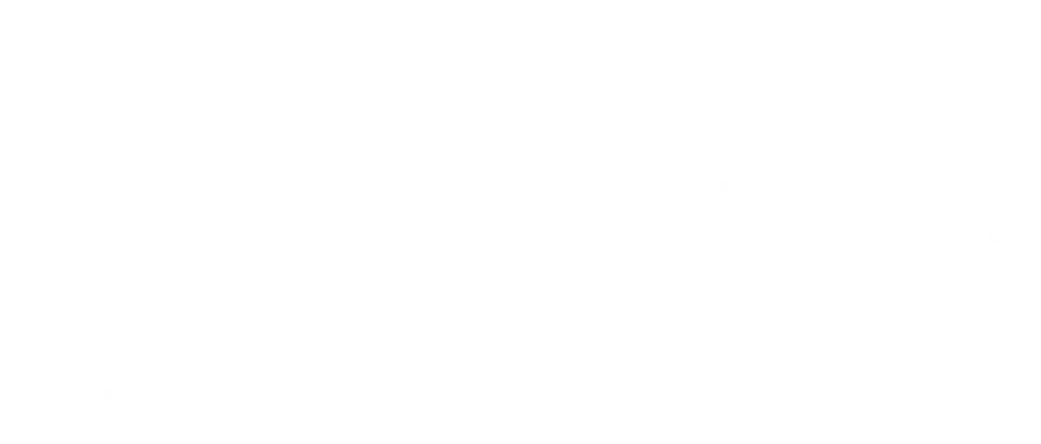 Logo LHG Analytics